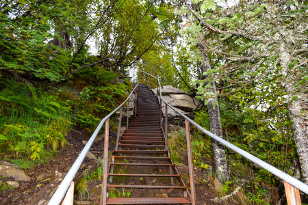 Wooden stairs to the top of the mountain in the forest. Ergaki Nature Park, Russia, Krasnoyarsk...