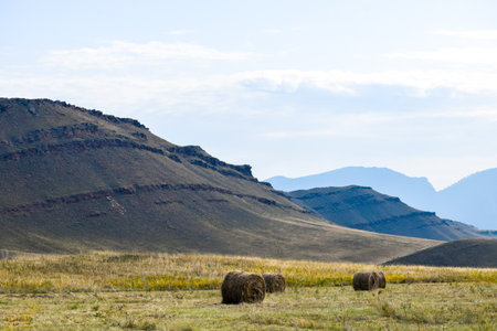 hay bales in the prairie with mountains in the background. Khakassia, Siberia, Russiaの写真素材