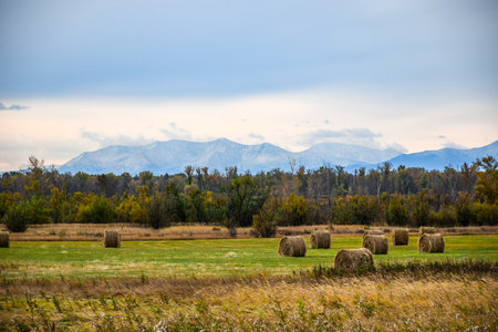 Hay bales on the field with mountains in the background in autumn. Khakassia, Siberia, Russiaの写真素材