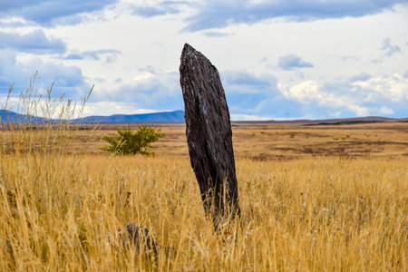 Stone in the steppe.の写真素材