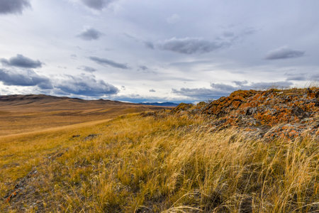 steppe in autumn under cloudy sky, Khakassia, Siberia, Russiaの写真素材