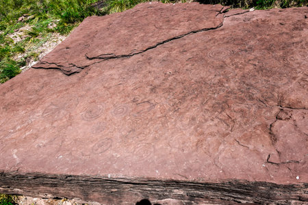 Granite rock in the mountains, close-up of photo. Khakassia, Siberia, Russiaの写真素材