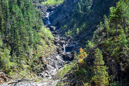 Mountain stream in the Khakassia, Siberia, Russiaの写真素材