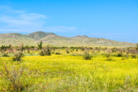 Grassland in the steppe against the background of mountains. Khakassia, Siberia, Russiaの写真素材