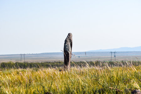 the concept of relax in the wild. Khakassia, Siberia, Russia