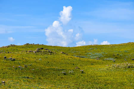 Grassland and blue sky with white clouds. Natural background. Khakassia, Siberia, Russiaの写真素材