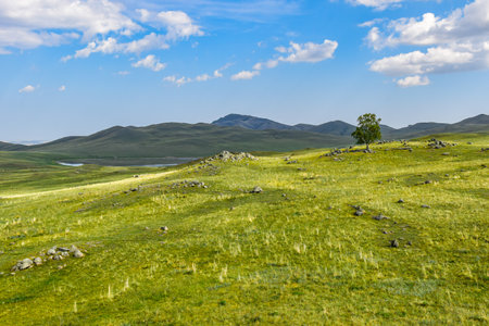 Alpine meadows and grasslands in the highlands of Khakassia, Siberia, Russia, Sahsyrの写真素材