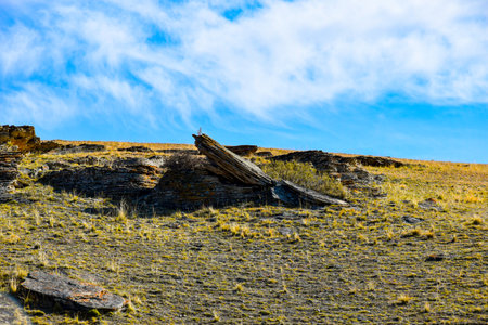 Dry tree on the edge of a mountain in Khakassia, Siberia, Russiaの写真素材