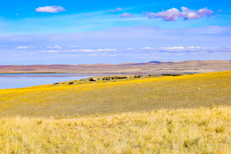 Landscape with yellow grass, lake and blue sky. Khakassia, Siberia, Russiaの写真素材