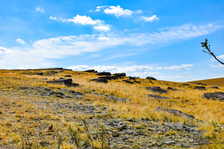 Mountain landscape with dry grass, blue sky and white clouds. Khakassia, Siberia, Russiaの写真素材