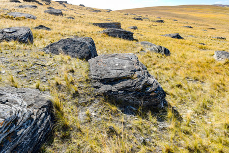 travel to Iceland - landscape of Khakassia, Siberia, Russia in Septemberの写真素材