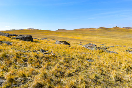 Landscape of grassland and blue sky in Khakassia, Siberia, Russiaの写真素材