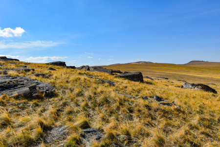 Landscape of steppe, prairie, veldt. Khakassia, Siberia, Russiaの写真素材