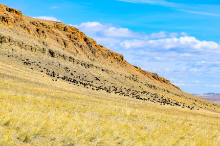 Khakassia, Siberia, Russia, Sakhalinの写真素材