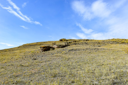 steppe in the spring, prairie, veldt, veldt. Khakassia, Siberia, Russiaの写真素材