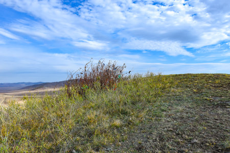 Dry grass in the steppe against the sky with clouds. Khakassia, Siberia, Russiaの写真素材