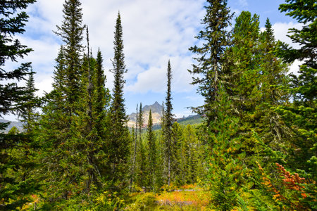 Mount Russia, Krasnoyarsk Territory, Siberia, Ergaki Nature Parkの写真素材