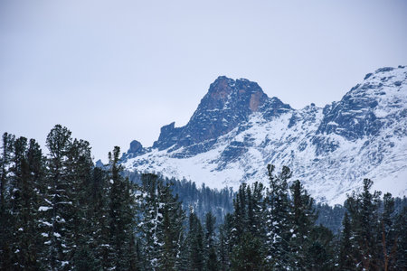 Mountains and forest in winter. Ergaki Nature Park, Russia, Krasnoyarsk Territory, Siberia.の写真素材