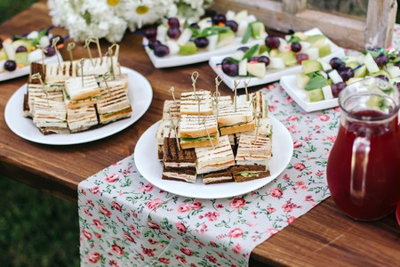 Toast with salmon, salad, cheese. Beautiful skewers of bamboo. For beautiful wedding tableの写真素材
