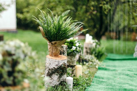 Wedding decoration of fern on-site registration. Pots mounted on birch stumps and wrapped in Kraft paper.の写真素材
