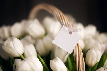 White tulips, bouquet in basket close-up. Beautiful backlighting, on the handle of the fixed plate.の写真素材