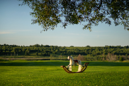 Horse seesaw on lawn. A huge meadow.の写真素材