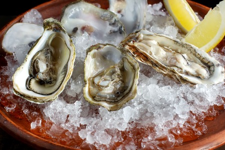 Fresh open oysters and lemon laid out on ice.の写真素材