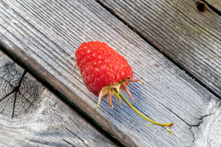 One berry on a wooden background, rustic style.の写真素材