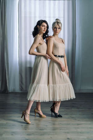 Studio portrait blondes and brunettes, looking at camera. Blue eyes, young and tender. Dressed in light designer dresses.の写真素材