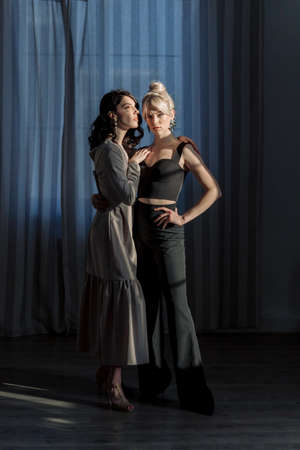 Studio portrait blondes and brunettes, looking at camera. One in trousers and a top, the other in a dress. One girl hugs another.の写真素材