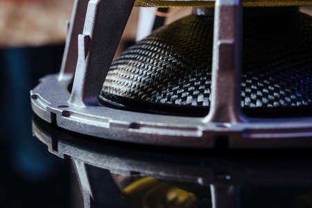 Hi-Fi audio system speaker membrane, carbon suspension. Elite music, hi-end quality.