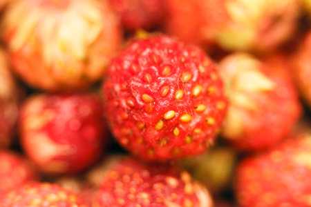 Red ripe wild strawberry closeup. Top view on macro.の写真素材