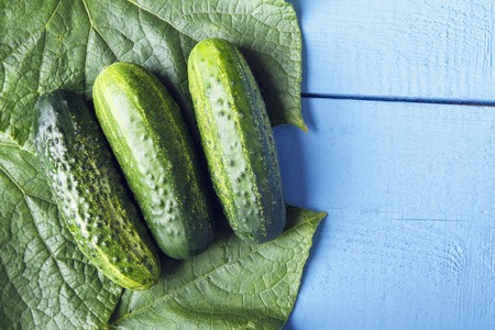 Fresh whole gherkins on green cucumber leaves. Top view on wooden table with copy space.の写真素材