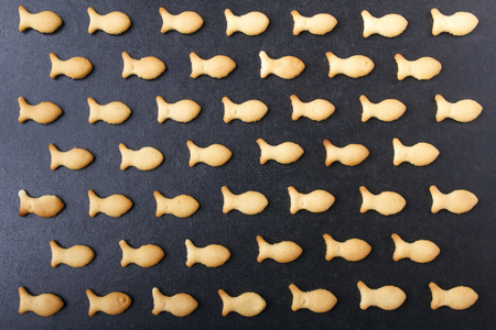Sweet cookies on black background are arranged in row. Beautiful texture.の写真素材
