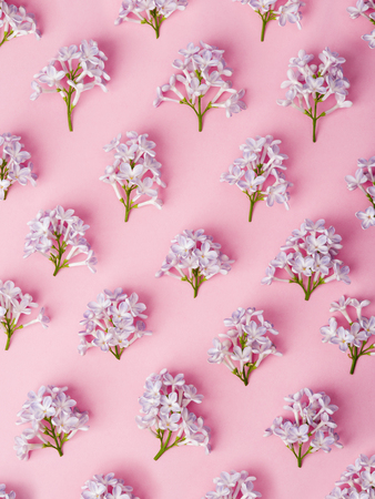 Flat lay lilac branch pattern ready used for flower arrangements and decoration.の写真素材