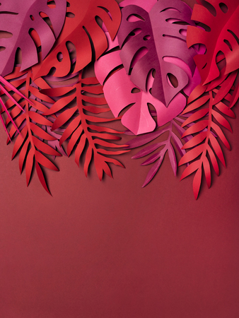 Set of amazing leaves made of craft paper lying on red background.の写真素材