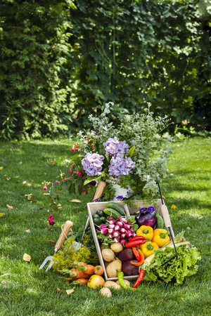 Harvested colorful vegetables in abundance composed outdoors on green meadow with flowers in sunlight.の写真素材