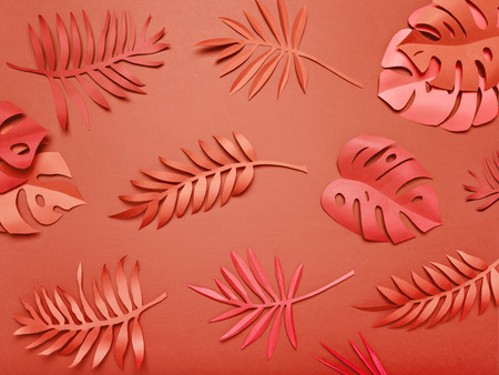 Set of delicate paper leaves of amazing color lying on living coral background.の写真素材