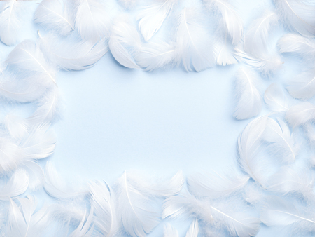 Snowy white feathers frame on light blue paper backdrop. Lightness and pureness concept, top view. Space for text.の写真素材