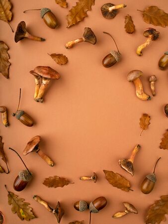 Autumn background with various botanical stuff such as mushrooms, oak dry leaves, acorns. Composition in warm tones. Thanksgiving holidays and autumn concept. Flat lay, copy space for a text.の写真素材