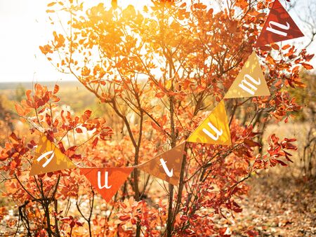 Welcoming garland with title Autumn on glistening autumn foliage. Orange and red vibrant leaves in sunshine. Bright autumn natural background. Autumn scene, trees and leaves.の写真素材