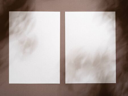 Poster, invitation, menu or greeting card mock up with soft shadows. Two empty white vertical rectangle cards with soft shadows on earthy brown background. Flat lay, top view. Copy space for text.の写真素材