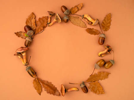 Autumn background with various botanical stuff such as mushrooms, oak dry leaves, acorns....