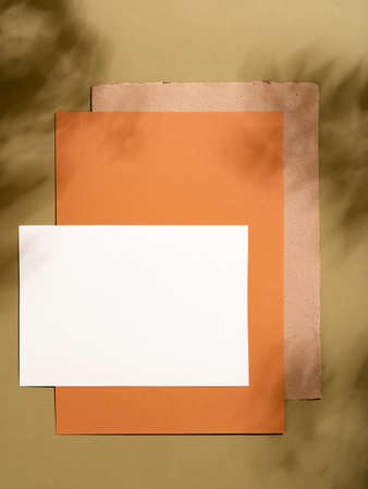 Minimalist styled mockup or greeting card design with soft shadow. Neutral earth tone mock up on olive green background. To do list, invitation, poster or letter concept.の写真素材