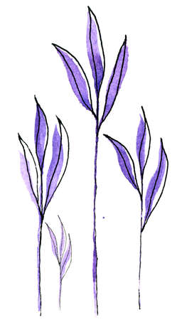 Exotic hand painted watercolor purple leaves with black outline isolated on white. Watercolor floral pattern, ornament, elements for textile, wrapping paper, website or polygraphy design.の写真素材