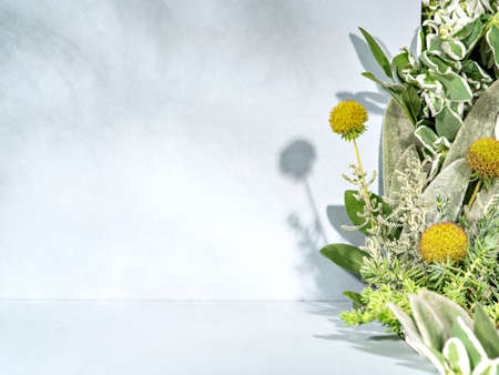 Minimalist botanical background with copy space. Front view of pedestal for new product...