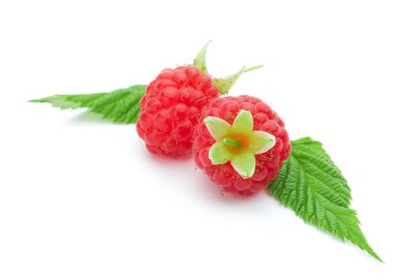 Two raspberries with green leaves on white background の写真素材