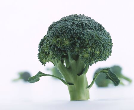 Head of fresh broccoli on whiteの写真素材