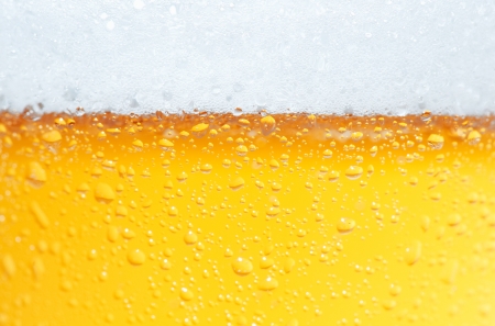 Close-up picture of a beer with bubbles and its foam.