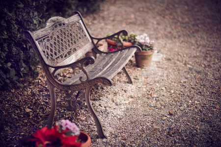 Old bench surrounded by flowers. Florence, Tuscany.の写真素材